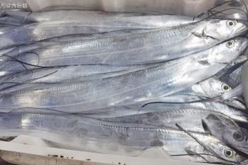 炸帶魚,到底放麵粉還是澱粉?都錯了,教你1招,外酥里嫩不吸油