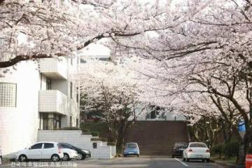 【招生簡章】2024年9月濟州國立大學本科