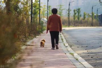 奉勸女性朋友,你們可以不孝順公婆,但千萬不要阻攔丈夫孝順父母