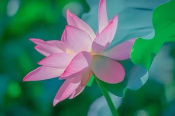 做人,一定要「狠」