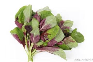 這幾種「長壽菜」幾塊錢一斤，不僅便宜，營養還足
