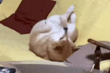 完全判若兩人！