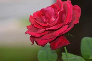 夫妻相處,想要「感情越來越好」,一定要做到3件事