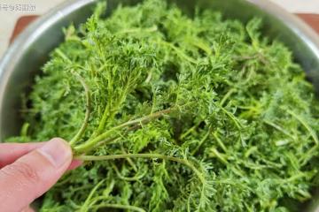3月，薺菜蒲公英靠邊站，這3種野菜抓緊吃，鮮嫩營養，全身是寶！