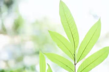 星軌塔羅：摩羯座4月運勢，雙方之間秘密蠻多，不太容易挽回