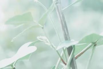 天秤座5月下半月發展，能量一直在消耗，拖下去可能會越來越疲憊