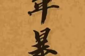 獅子座2024年三月運勢大揭秘：出門必見喜，財運福運一起來！