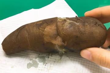 裡面全白的！網友買地瓜「咬下去像白蘿蔔」味道超怪異　內行人秒認出：「超值錢的」