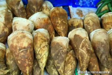 冬筍保存有訣竅，牢記2個方法，放1年也鮮嫩又好吃，1分鐘就學會