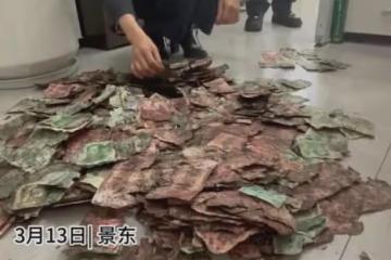 老人過世前將20多萬現金埋地里,家人挖出全部發霉受損:救回12萬