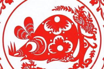 生 肖 鼠:聰明伶俐,財富五車,富足生活已經到來!