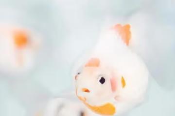 金牛座未來三十天發展，給自己一些時間，先緩解一下內心的不適