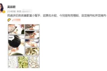 吳辰君嫁內地富商定居北京，入鄉隨俗親自包餃子，2歲兒子當幫手