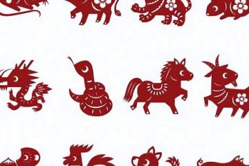 雙魚座：財富源源不斷，遇到難題也能從容應對，好運伴隨一整年