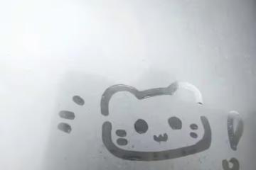 衝鋒小獅子的上升周!看我教你如何抓住時機,桃花事業兩手抓!