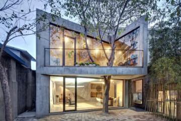 堅持不砍樹!廢棄倉庫「改建成禪意茶屋」在陽台挖大洞 獨特設計「環抱巨大樹木」玻璃窗也轉彎