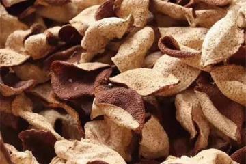 陳皮是什麼水果的皮？陳皮不等於橘子皮，那它到底是什麼呢？