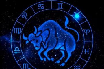 看似小白兔，其實是猛虎，魄力十足，運氣不差的星座