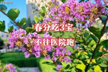 3月20日春分,老人說「春分吃3寶,不往醫院跑」,指啥?該咋吃?