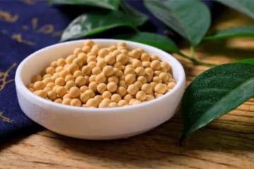 大豆、毛豆、黃豆到底有什麼區別?豆類古代為什麼稱作菽?