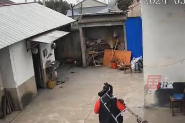 靠支架撐著走路的父親，突然扛起支架跑了起來，兒子：跑得還挺快