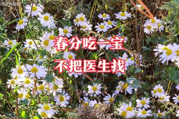 老人說「春分吃一寶，不把醫生找」，這「1寶」指的啥？怎麼吃？