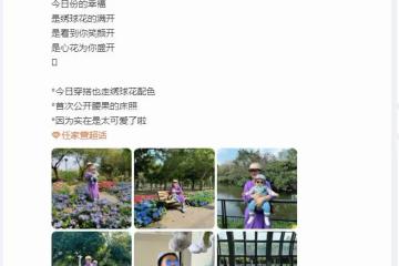 任家萱帶6個月兒子出遊,小腰果顏值高像媽媽,全身胖嘟嘟超可愛