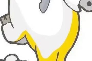 健康長壽不是夢!生肖馬的養生之道在這裡!