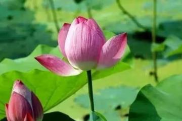 人活著,少說這七句話!