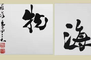 積極樂觀,心胸開闊,海納百川的三大生肖