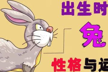 生肖兔每月出生的秘密揭曉，你願意相信嗎？尤其是63、75、87年
