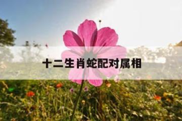 生肖蛇與十二生肖絕佳婚配，揭秘完美愛情密碼
