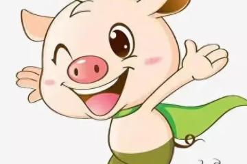 生肖豬：事業飛黃騰達，財富滾滾來！