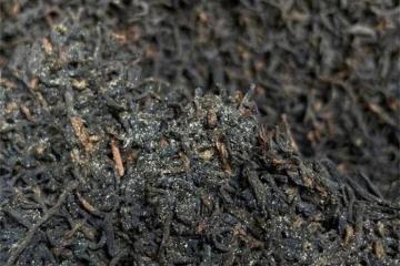 六堡茶屬於什麼茶？巧喝六堡茶去除身體濕氣，但是你要這麼泡