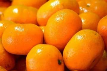 橘子含糖量高不宜多吃嗎?什麼橘子含糖量低?需要注意哪些事項?