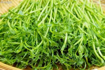 「春吃鹼,火氣減」,春天多吃這3菜,吃的香睡的好,腿腳有勁!