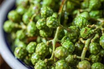 藤椒是麻還是辣？花椒、麻椒和藤椒，三者各有什麼味道？