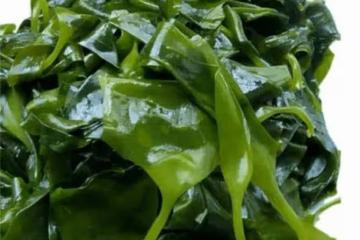 裙帶菜和海帶有啥不一樣？吃哪個更有營養？到底誰才是海藻之王