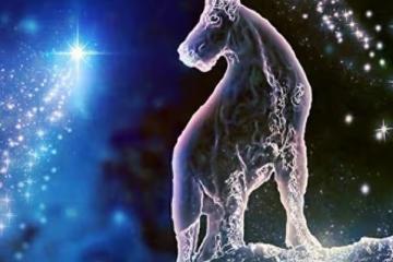 星座解讀：唯一不適合戀愛的星座