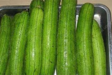 絲瓜儲存方法簡單,沒技巧沒難度,放上一年也不壞,多囤點慢慢吃