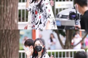 謝娜復出狀態真不賴，粉色麻花辮太可愛，泡泡袖印花裙真顯瘦