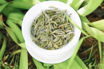 白茶如何正確沖泡?3個重要知識點,讓你茶葉發揮到淋漓盡致