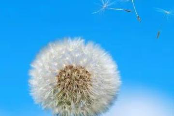 為什麼你的人生難圓滿?做到七個字,扭轉乾坤