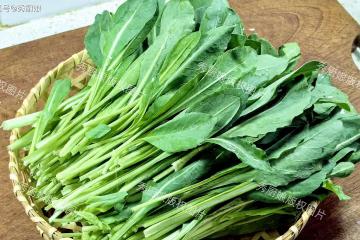 春天,這菜使勁吃,一養肝,二抗菌,三降火,四強免疫,別不懂吃