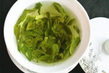 六安瓜片為什麼叫瓜片？為什麼說六安瓜片是中國最特殊的綠茶？