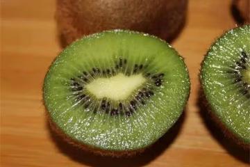 獼猴桃為什麼叫kiwi?獼猴桃Kiwifruit的來源竟然是鳥身上的毛?