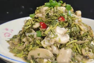 穀雨前快吃它，口口鮮嫩賽神仙！三種食材一拌，清香好營養，輕鬆下了三碗飯