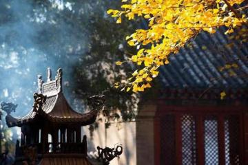 4月雙喜臨門,事事順心,橫財運貴人運爆棚的星座