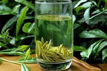 綠茶什麼茶好喝一點？這6種茶你喝過幾種，你家鄉產什麼茶？