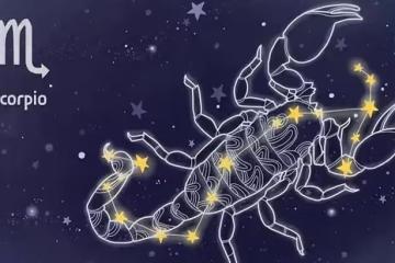 嘴上毒舌，外表冷血，卻很會照顧人的三大星座